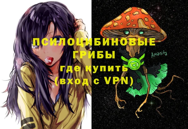 шишки Волоколамск