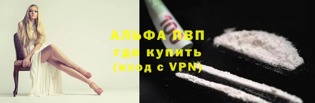 шишки Волоколамск