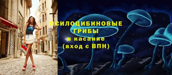 шишки Волоколамск